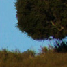 August 2005