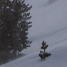 Winter 2008