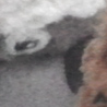 November 2011
