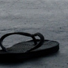 Summer 2008