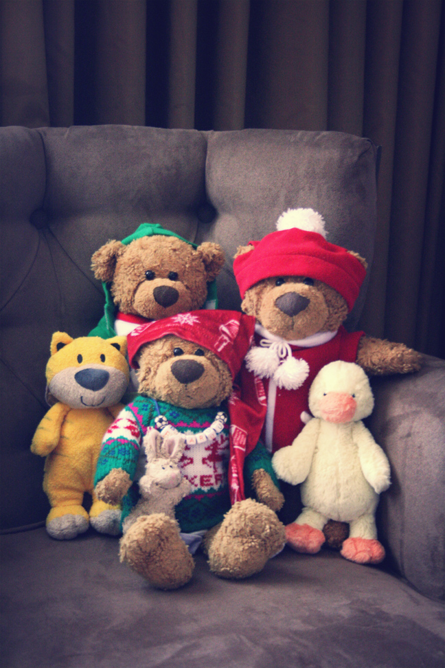 Bear Family Portrait