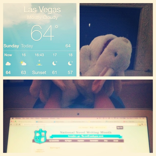 Getting cooler. Feet stay cosy thanks to killer rabbit of Caerbannog slippers :) #nanowrimo