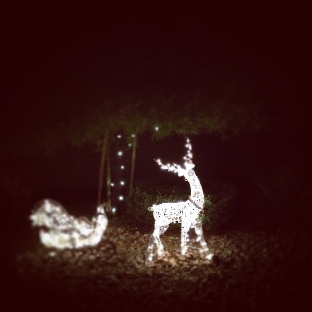My Patronus comes with its own sleigh. ;) #harrypotter