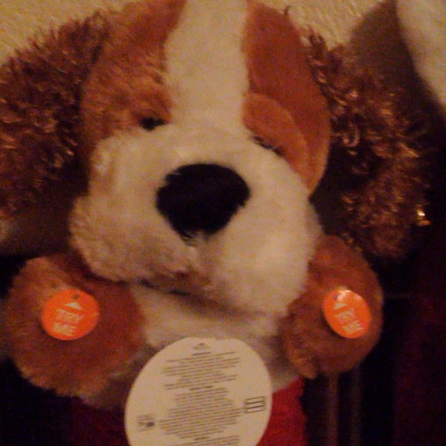 Amazingly this is not my Christmas stocking. XD