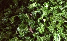 Making Kale chips. Thanks to my sis @runtricpa for the recipe :) #healthyish #snack