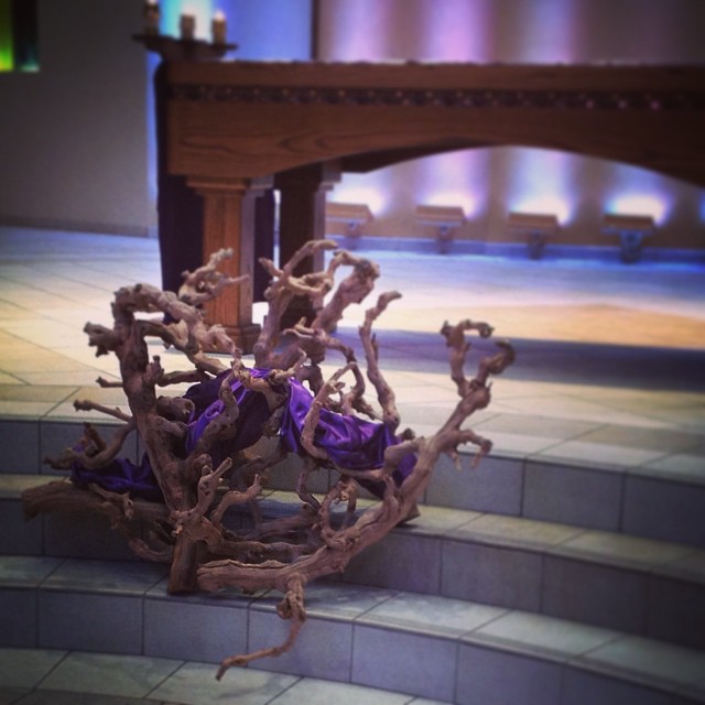 Driftwood at church as liturgical decor on the 1st Sunday of Lent #BHLent2015 @bustedhalophoto #CSLentIPJ @catholicsistas