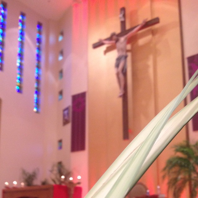 Palm Sunday. #holyweek #lent