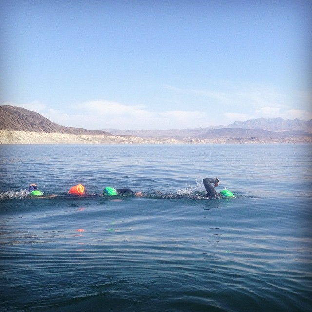 It was a beautiful morning for 1,800yd #ows at Lake Mead. #swimlasvegas