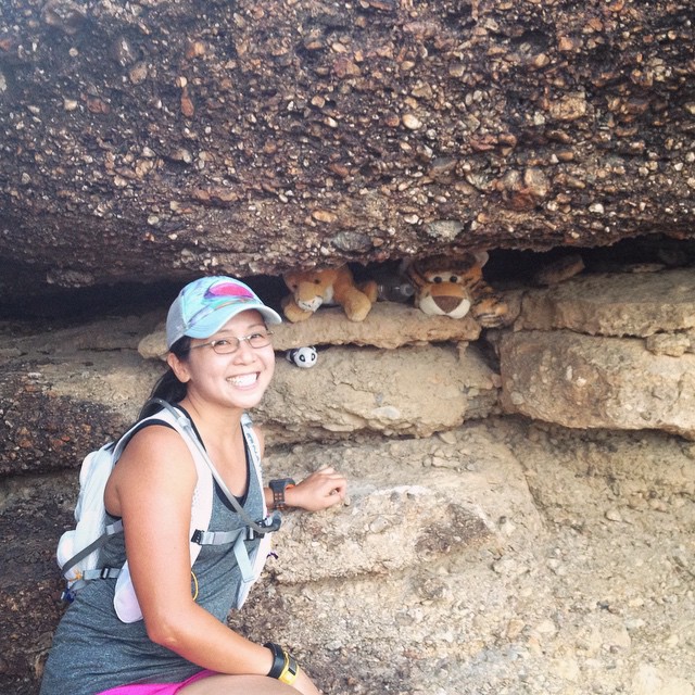 Friendliest mountain lion sighting on the trail run this evening. Temps was 102°F #heattraining #trail #running #lasvegas