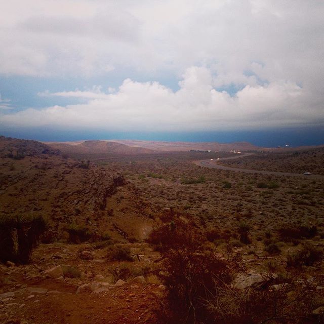 View from Monday's run. Literally the calm before the storm (& flash flooding on the trail!) #lasvegas #bluediamond #cottonwood #instarunners #latergram [instagram]