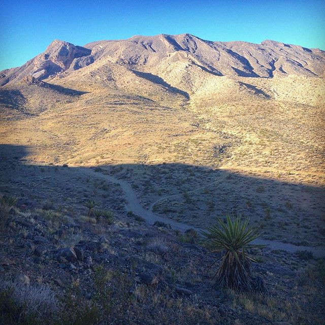 You need a keen eye to spot the single track and the cairns whilst running, or you can get lost in the desert :) @vivobarefoot #ShareYourTrail #trailrunning #lasvegas #beyondthestrip #latergram [instagram]