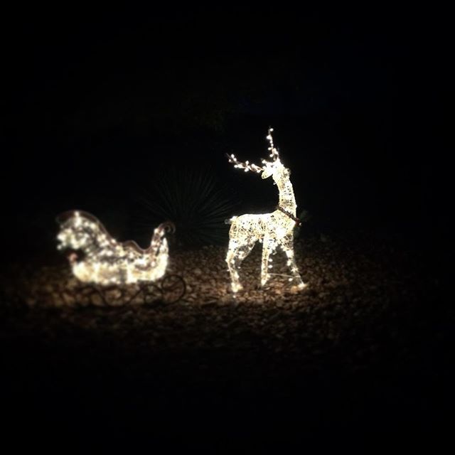 Expecto Patronum! Oh my patronus brought its own sleigh. XD #harrypotter #lights [instagram]