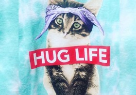 I wanted this shirt, but the only sizes they had left were XL & 2XL in men's! #huglife #kittens #walmart [instagram]