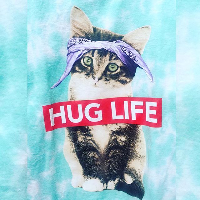 I wanted this shirt, but the only sizes they had left were XL & 2XL in men's! #huglife #kittens #walmart [instagram]