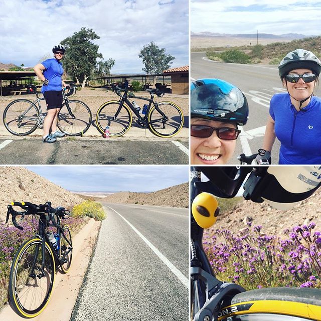 Wild flowers spotted on our ride today! Only 17mi for me; Jen went for the RAGE course (25mi). #triathlon #training #nuunlife [instagram]