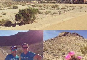 Five miles. 84°F. Spring in the desert. #ROLLintospring @nuunhydration @rollrecovery #triathlon #training #rty2016 [instagram]