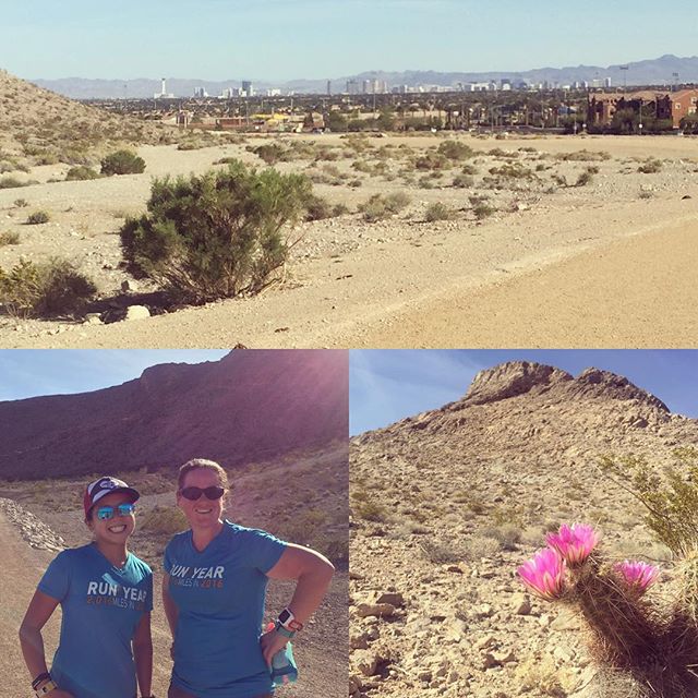 Five miles. 84°F. Spring in the desert. #ROLLintospring @nuunhydration @rollrecovery #triathlon #training #rty2016 [instagram]