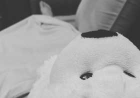 Weekend workout: 4 x nap intervals, 3 x snacks + hydration @ pace, one warm Lambsy on my tummy & several tissues later… Time to sleep this bug off! #bedtime #oldlady #needmorecalories [instagram]