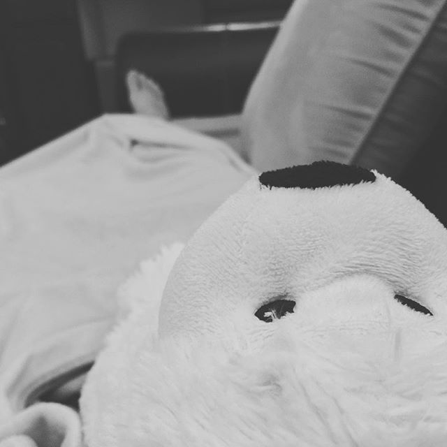 Weekend workout: 4 x nap intervals, 3 x snacks + hydration @ pace, one warm Lambsy on my tummy & several tissues later... Time to sleep this bug off! #bedtime #oldlady #needmorecalories [instagram]