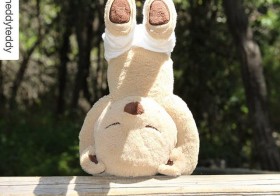 Taking cues from a #yoga bear :) #dontjudge #Repost @meddyteddy・・・Meddy's Mindful Moment "The world is the great gymnasium where we come to make ourselves strong." Swami Vivekananda [instagram]