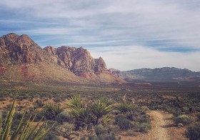 A rare midweek morning trail run meant that I got to start my day looking at this view! #trailrunning #beyondvegas #nuunlife [instagram]