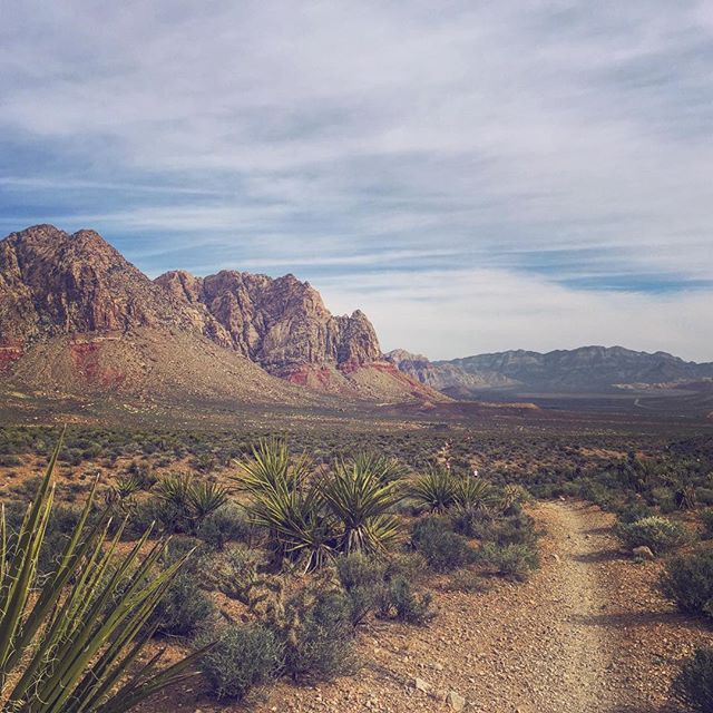 A rare midweek morning trail run meant that I got to start my day looking at this view! #trailrunning #beyondvegas #nuunlife [instagram]