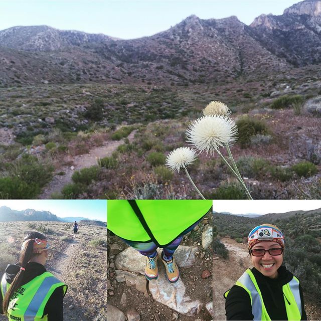 My 1st time as "Official Race Caboose". Req: 13.1mi & finish #DFL It took nearly 5hrs but the lady completed her first trail half w/ ~1.7k ft. gain, 5k ft. elev. & some technical terrain. #nuunlife #desertdash #trailsoffury #trailrunning [instagram]