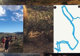 Cottontail + friendly mountain lion + loop da loop + friends = trail run in Las Vegas #wegotlost #itwasanadventure #allrunnersaccountedfor #nuunlife #trailrunning #neverboring #outsideisfree #optoutside [instagram]