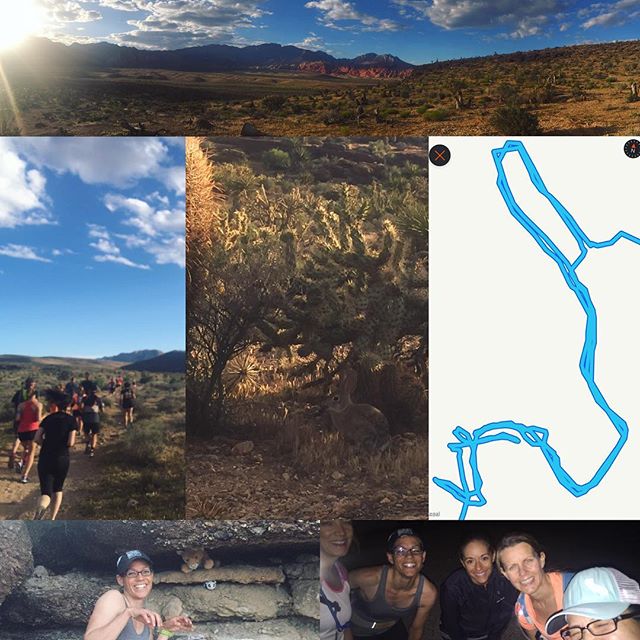 Cottontail + friendly mountain lion + loop da loop + friends = trail run in Las Vegas #wegotlost #itwasanadventure #allrunnersaccountedfor #nuunlife #trailrunning #neverboring #outsideisfree #optoutside [instagram]