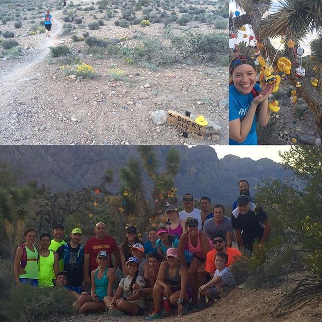 On Mondays, we run the trails on the West Side. Tonight was to see the Ducky tree! #trailrunning #lasvegas #desertdash #nuunlife [instagram]
