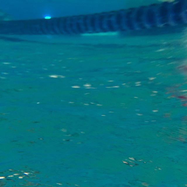 Pool view as we (our lane anyway) focused on our stroke rate! #SwimLV #triathlontraining #nuunlife [instagram]