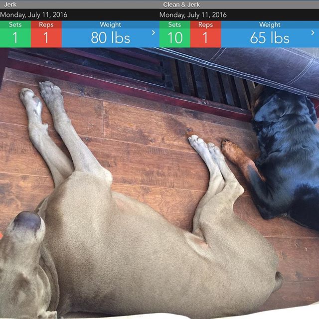 Monday morning #gainz but can't wait to see these two pups in 3 days! :) #crossfit #wtechcrossfit #weimaraner #rottweiler #dogaunt [instagram]