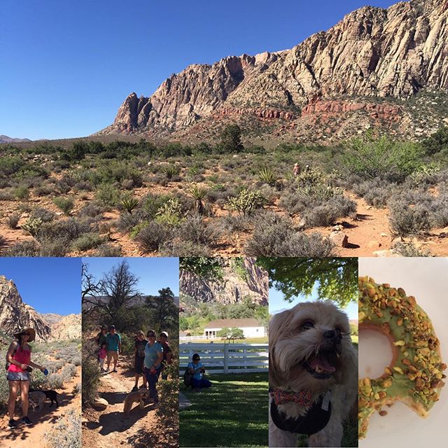 Hiking w/ friends & their furry babies, sprinkled with Pokemon wrangling, and then Matcha roasted pistachio doughnut! #sundayfunday #glazedoughnutslv #springmountainranch [instagram]