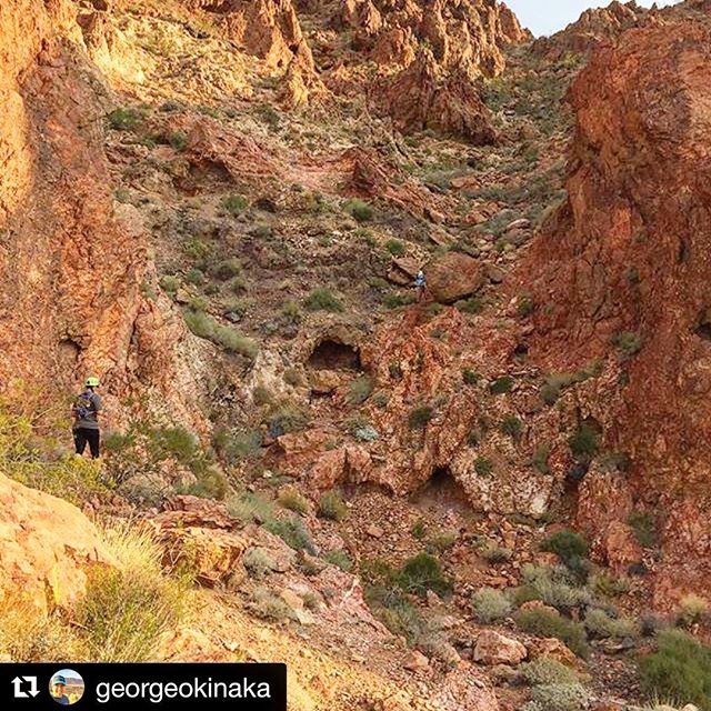 That blue dot midway is me. This was mile 1.5ish on Ginger. Some areas required scrambling lol.#Repost @georgeokinaka ・・・So yeah, we had to go up that on part of the #BootlegBeatdown 5k this morning. Ouch! Thanks @roberekson. #NuunLife #TeamNuun [instagram]