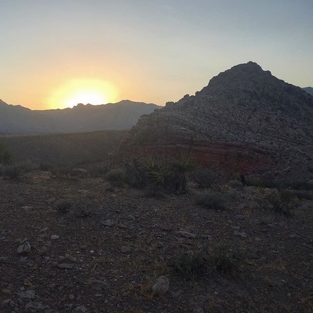 Hot sunset run organized by @iteachlv with the usual suspects #trailrunning #trailjunkie #nuunlife [instagram]