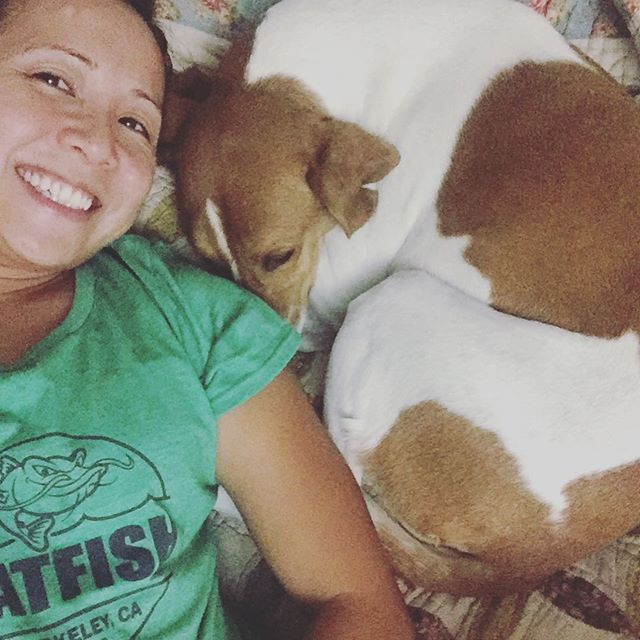 "ZOMG this girl won't get off my bed" -- Ella Bella the rescue hound.  Um, move yer arse Ella, Auntie needs her beauty rest! #dogsofinstagram #hound #dogaunt [instagram]