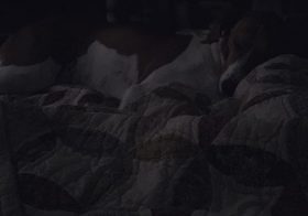 Slept in, but how do I wake this pup? Ella is so peaceful right now lol… #houndmix #rescuedog #dogsofinstagram #dogauntie [instagram]