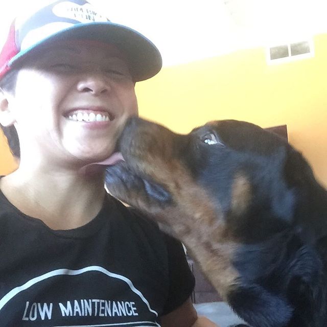 This guy is too sweet. He decided I didn't bathe enough in the ocean this morning, so I get kisses/grooming  #rottweiler #dogsofinstagram #dogaunt [instagram]