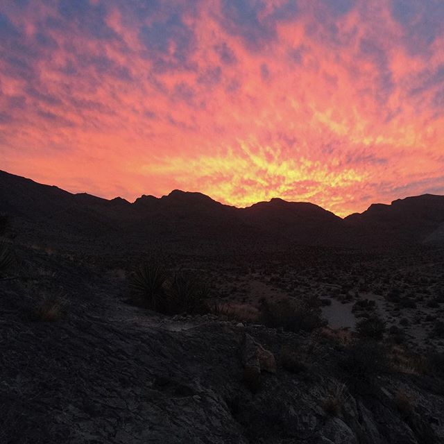 So glad I made it out tonight & got to run with @rebeccarunstrails! ^_^ Day 1 of base build for AR50! #AmericanRiver50 #beyondvegas #optoutside #nuunlife #sunset #trailrunning [instagram]