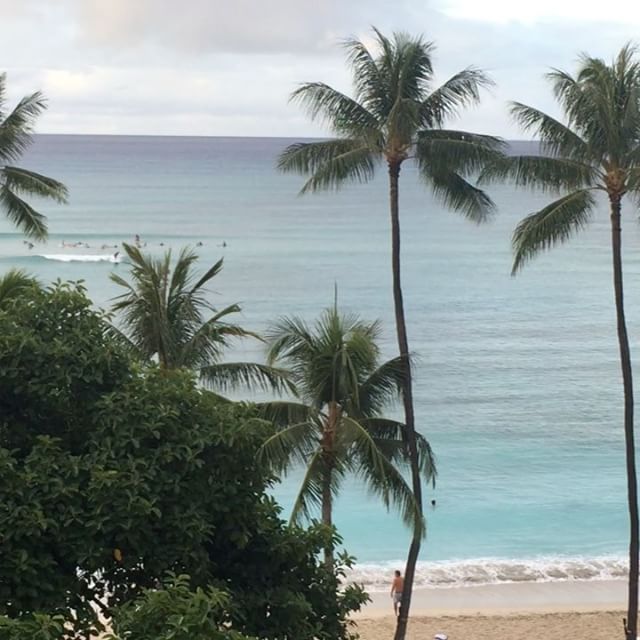 Good morning from Waikiki Beach! Waiting for Yoga cos it's on Island Time #waikiki #oahu #hawaii [instagram]