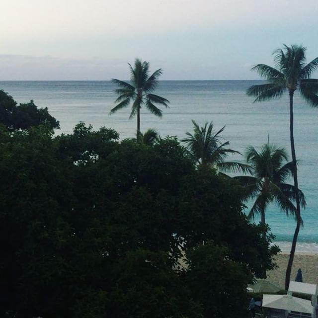 Gonna miss this view! 😎#waikiki #oahu [instagram]