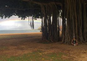 Seeking nirvana… #banyantree #waikikibeach [instagram]