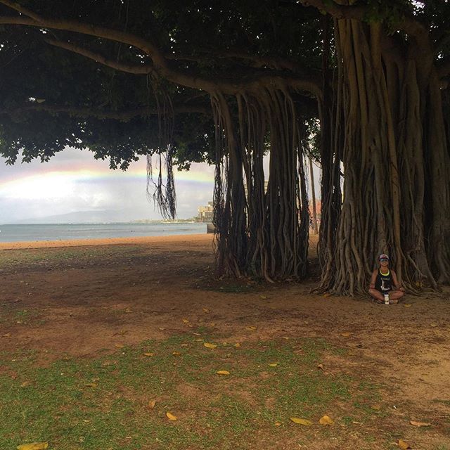 Seeking nirvana... #banyantree #waikikibeach [instagram]