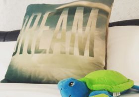 Good morning! No more Waikiki Beach videos  but I did dream of the ocean last night with this stowaway #seaturtle #dream [instagram]