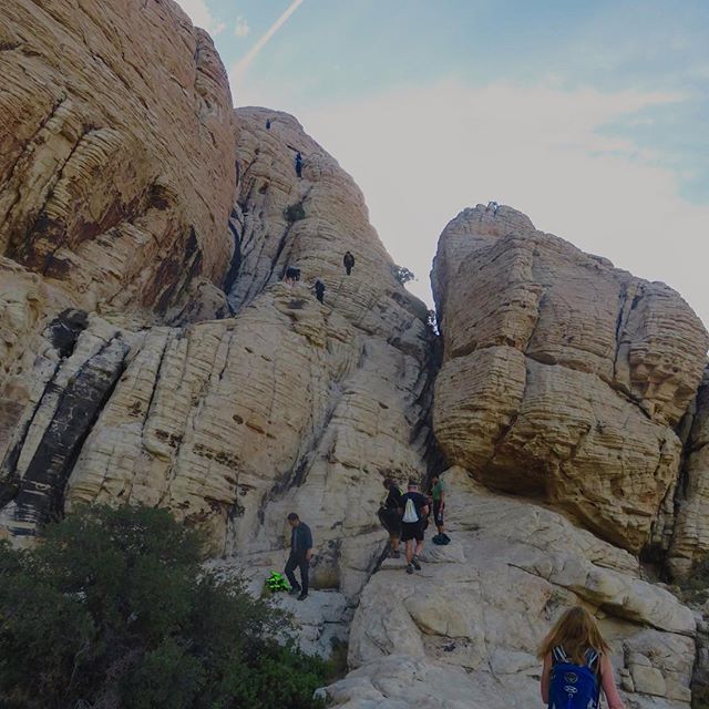 Cool photo by Bonnie H. from our hike & scramble up Turtlehead Jr peak. I'm midway up, in the middle, hands on sandstone. XD #hikinglasvegas #scrambling #nuunlife [instagram]