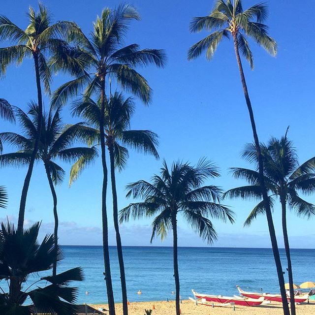 #tbt Lunch view at #waikikibeach over a week ago... I miss the ocean! ^_^ #oahu #hawaii #nofilters [instagram]