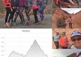 Trail shenanigans w/ these ladies! Made the tough 15mi training run fun!! #nuunlife #trailrunning #lasvegas #trailjunkies #AR50mi #training #taur #ultrarunning [instagram]