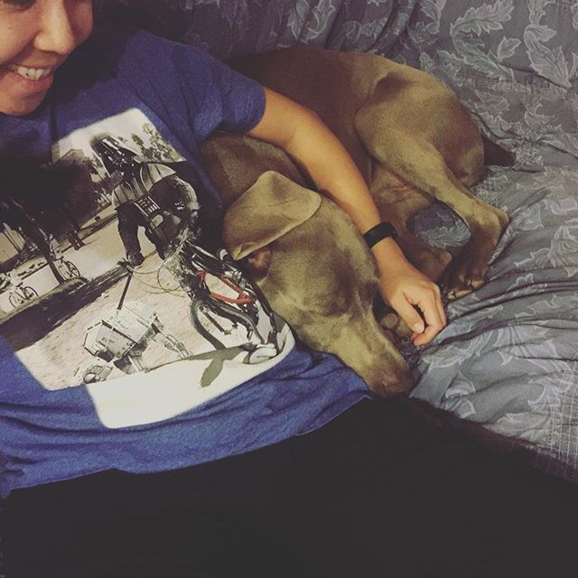 I'm gonna cry when K goes home next week! :'( #weimaraner #weimaranersofinstagram #dogsitting #dogaunt [instagram]