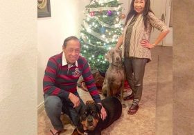 The pups posing with their gramps & gramma. Parentals in flip flops cos we Asian. Lol. Happy New Year! #dogsofinsta #weimaraner #rottweiler [instagram]