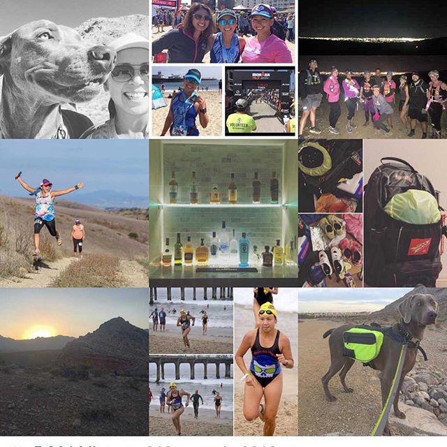 2016 was yesterday and as I examine my #bestnine2016 I'm excited for what 2017 will bring! #nuunlife #triathlon #ultratraining #marathonswimming #diyprojects [instagram]